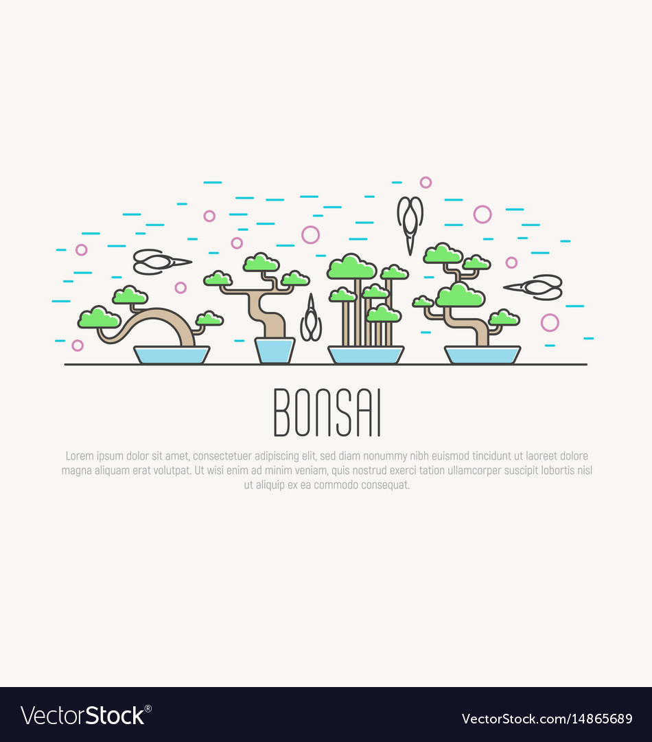Miniature Bonsai Set with Scissors
