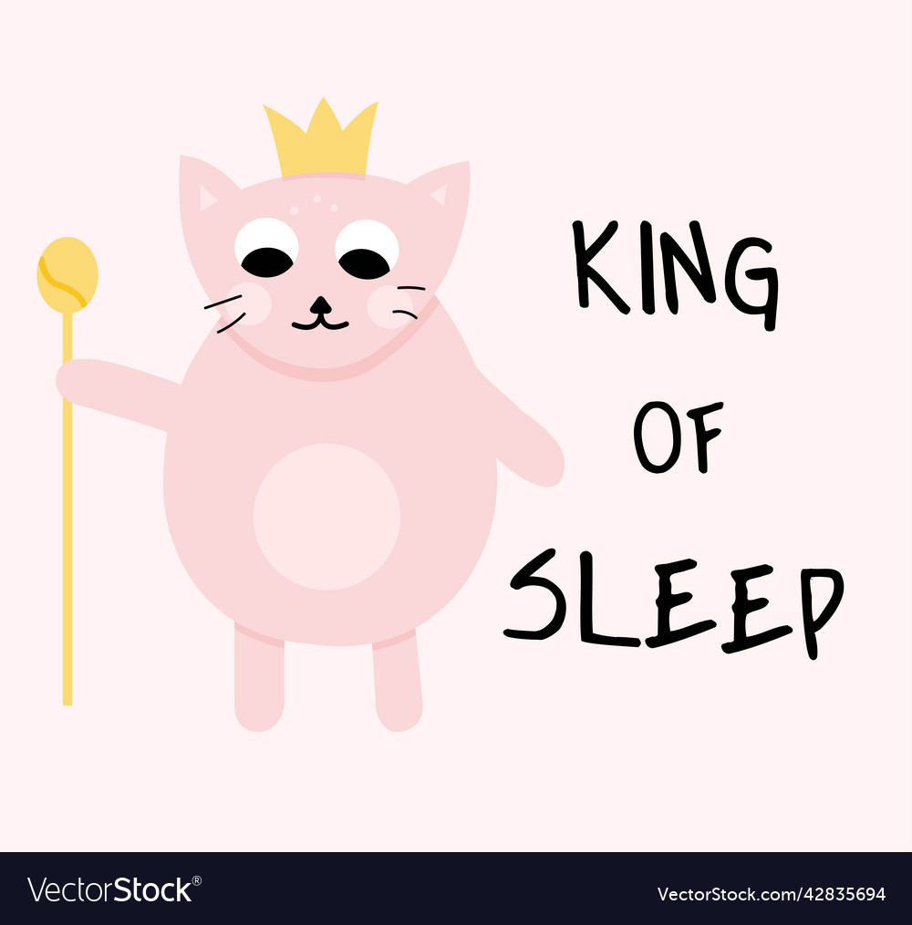 King of sleep pink cat with crown