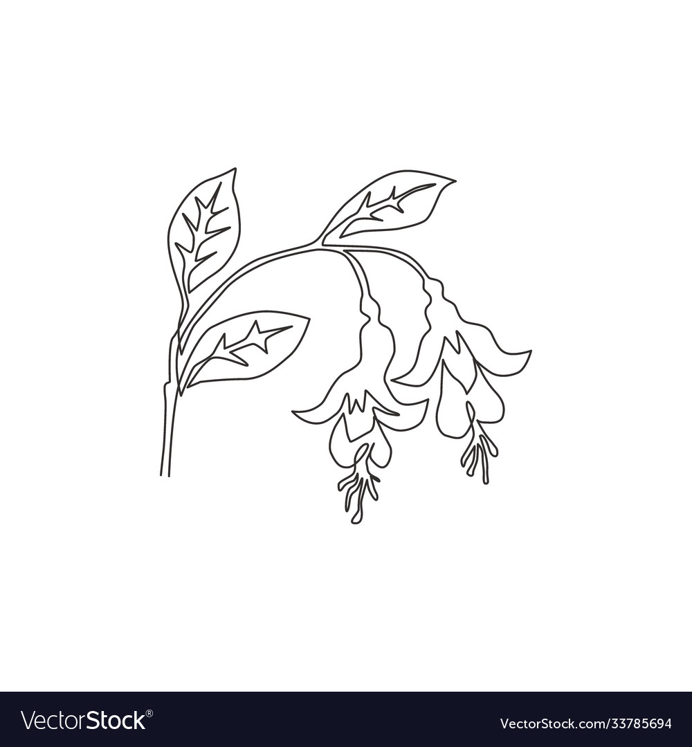 One continuous line drawing beauty fresh Vector Image