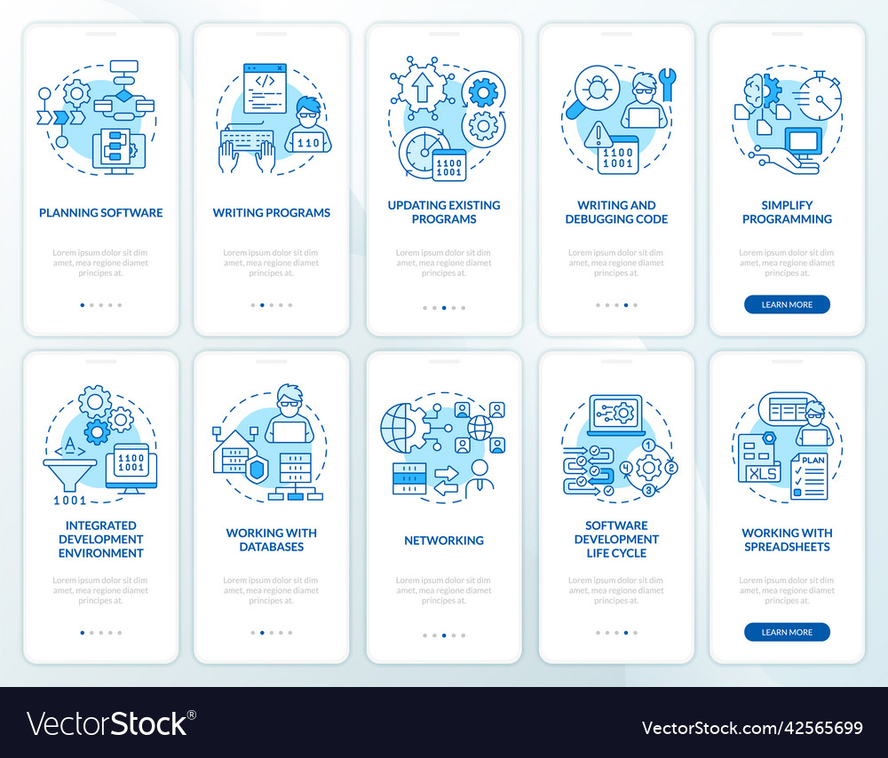 Professional programmer skills blue onboarding