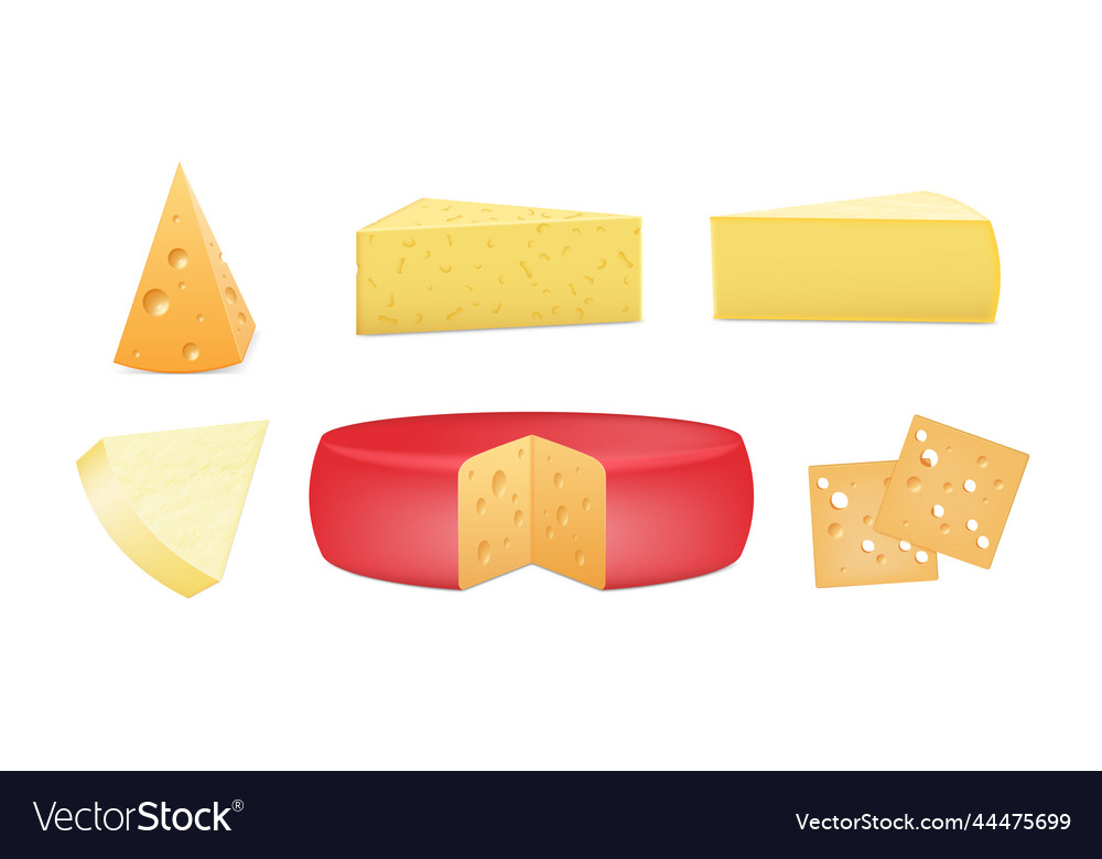 Set of realistic cheese pieces fresh hard