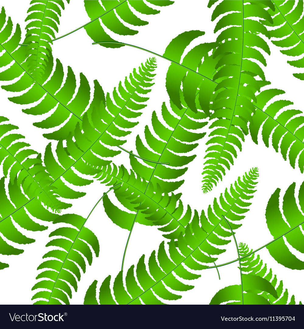 Fern frond silhouettes seamless pattern