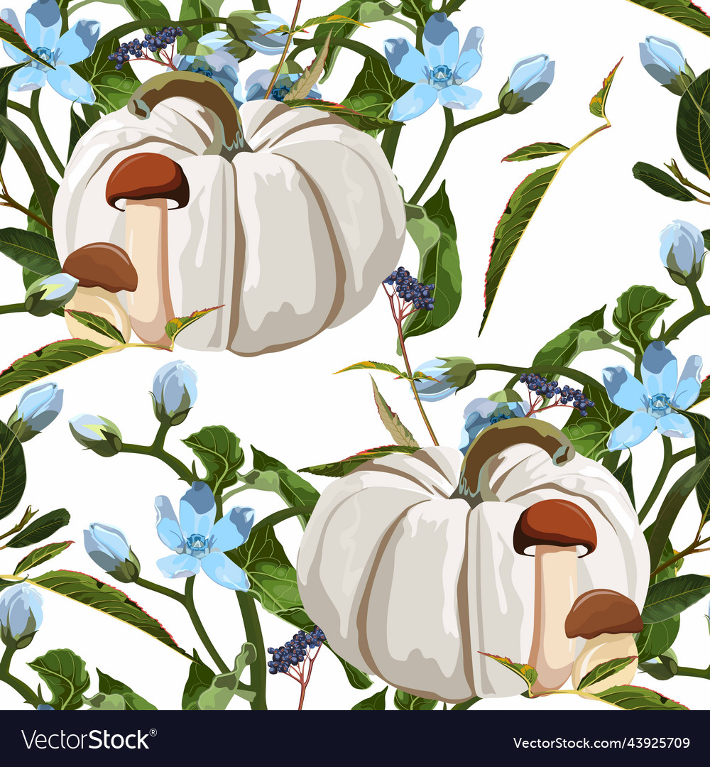 Autumn white pumpkin herbs mushrooms vector image Autumn white pumpkin herbs mushrooms