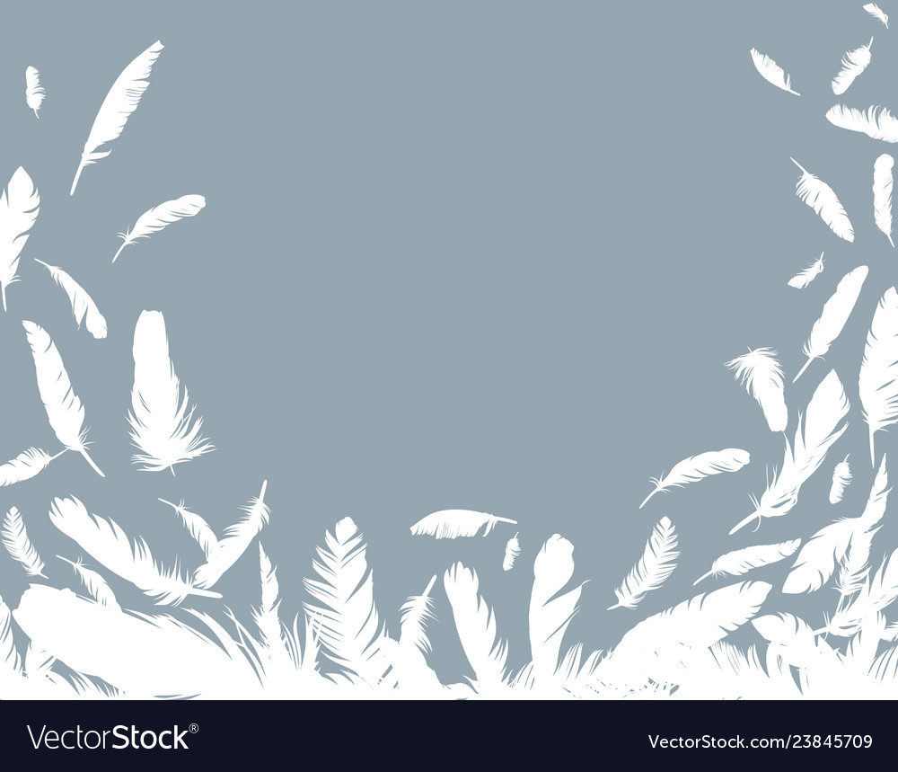 Background with bird feathers