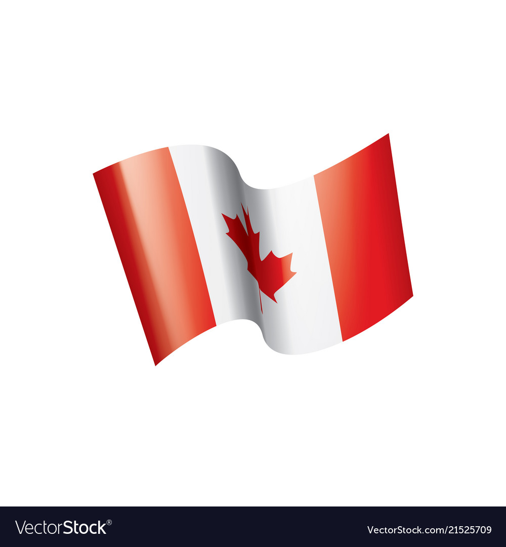 Canada flag on a white Royalty Free Vector Image