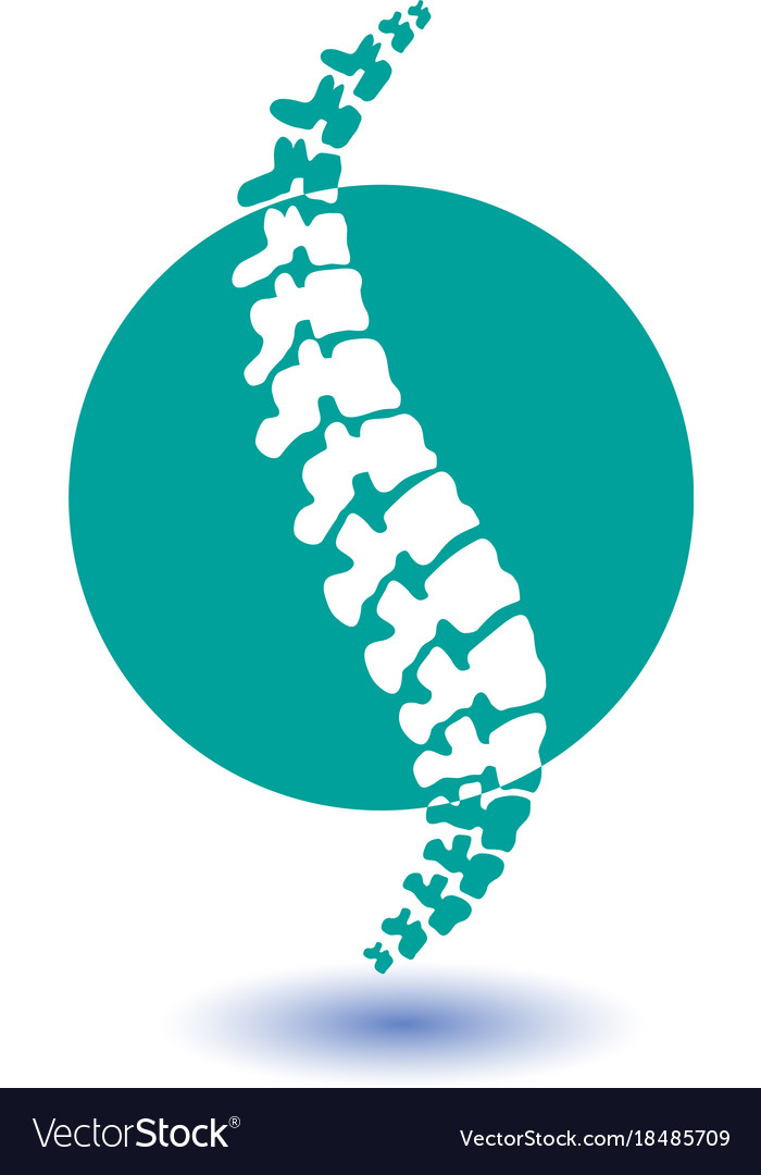 Human spine isolated silhouette Royalty Free Vector Image