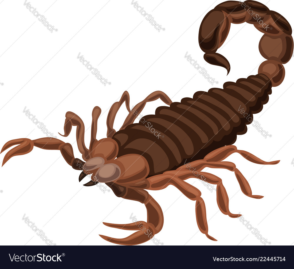 Scorpion icon cartoon style Royalty Free Vector Image