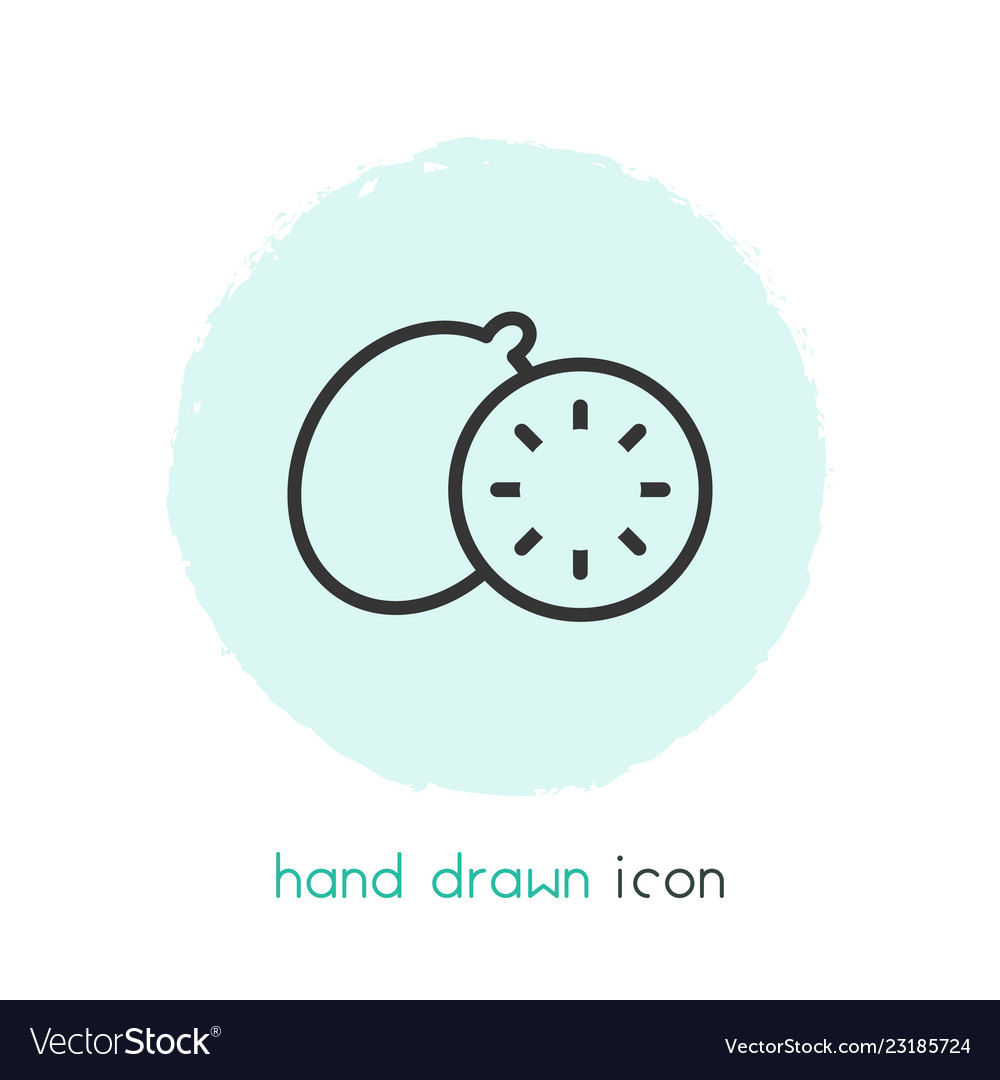 Kiwi icon line element Vector Image Kiwi icon line element