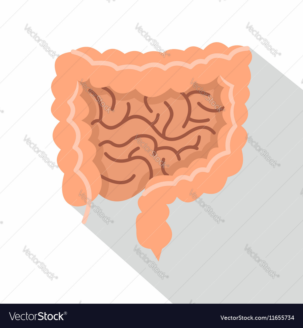 Intestines icon flat style Royalty Free Vector Image