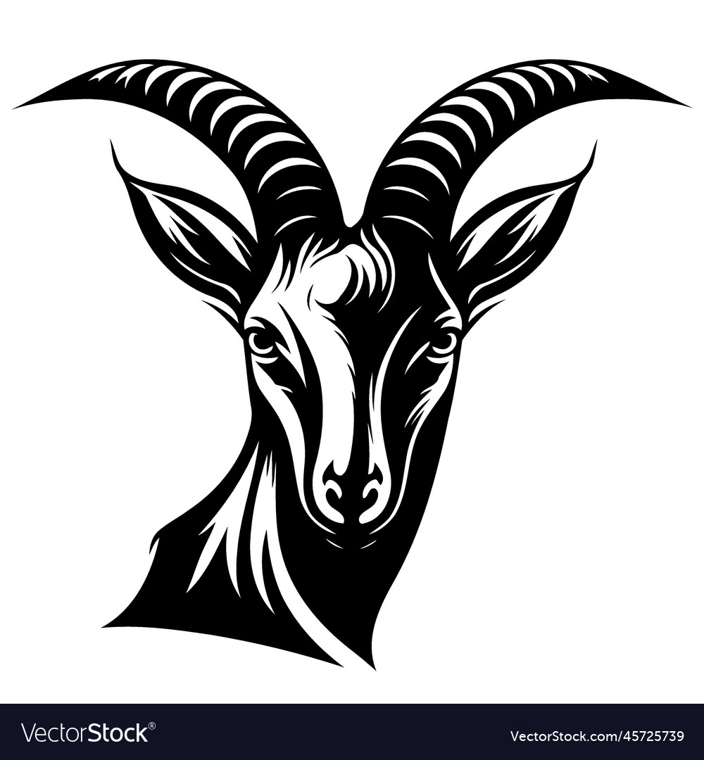 Animal head domestic goat