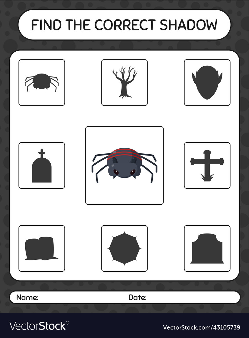Find the correct shadows game with spider