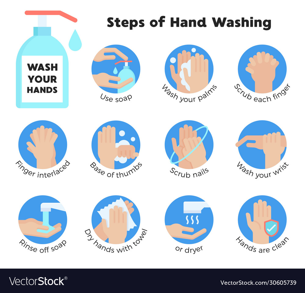 Hand washing steps infographic hand washing Vector Image