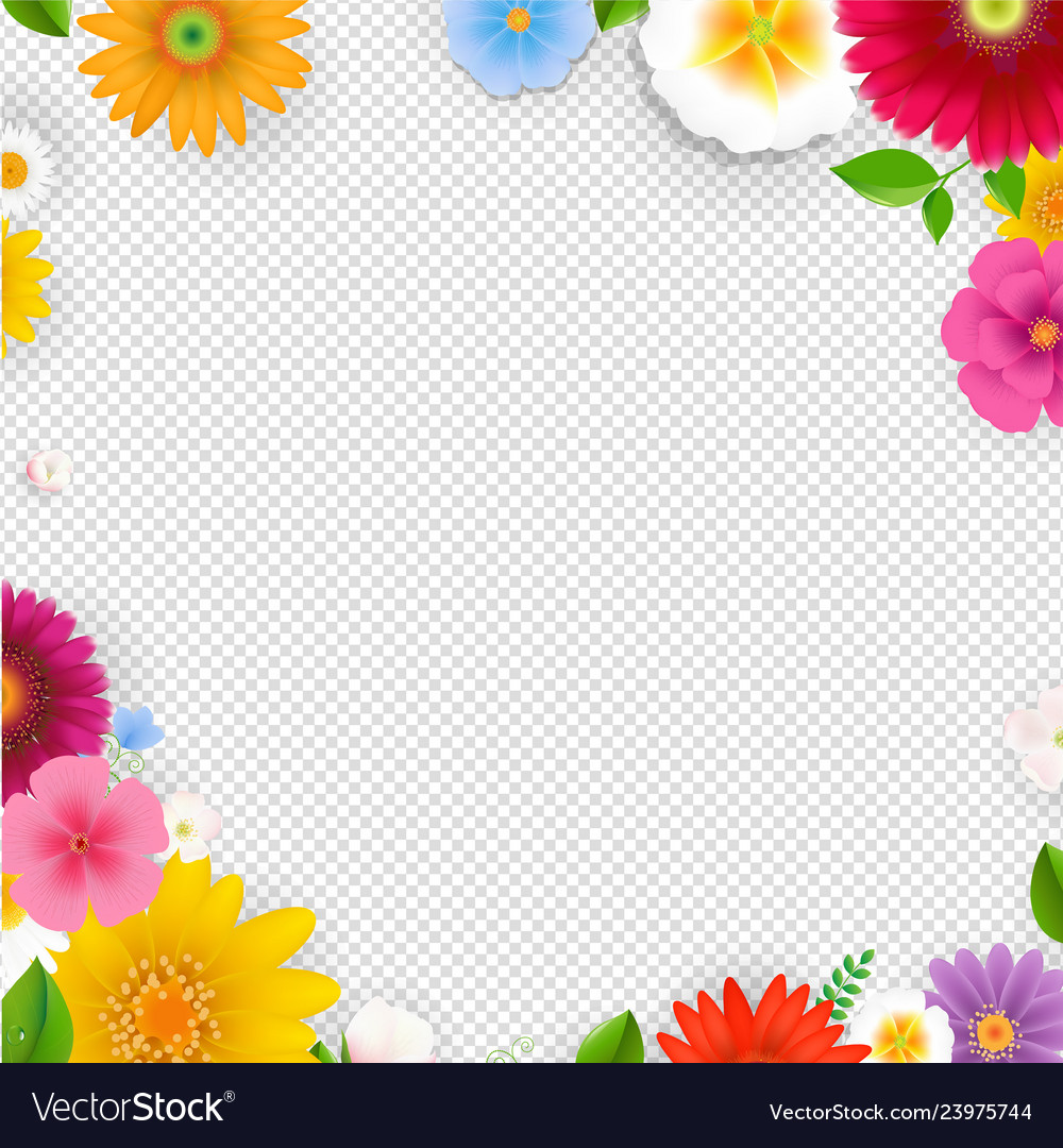 Frame with flowers transparent background Vector Image