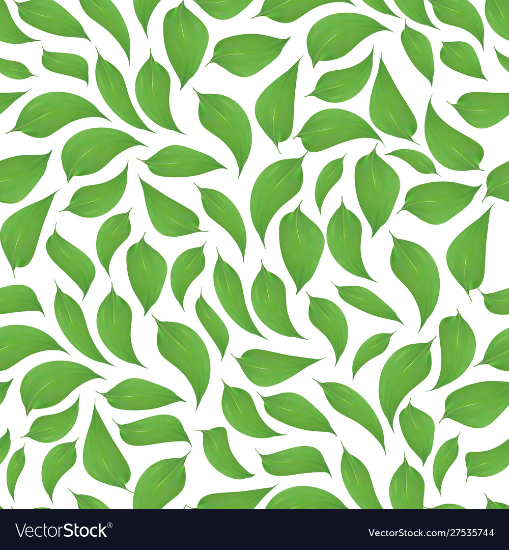 Green leaves seamless pattern Royalty Free Vector Image