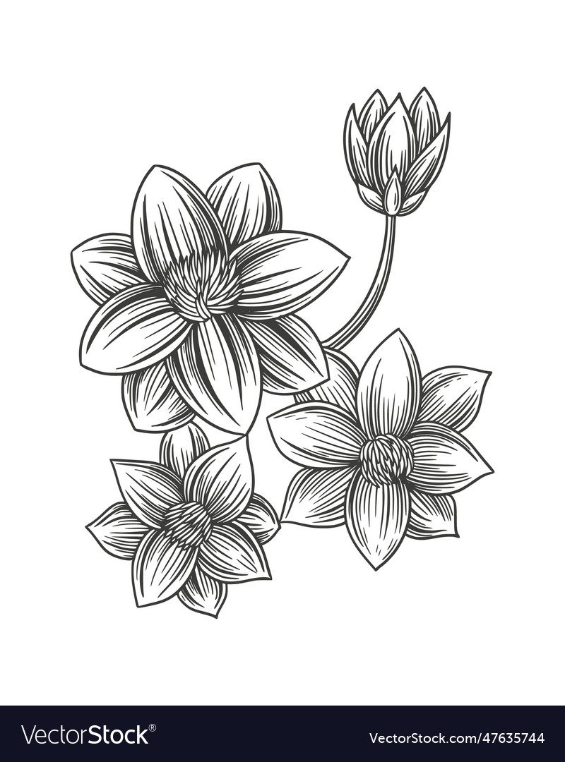 Print Vector Image Print