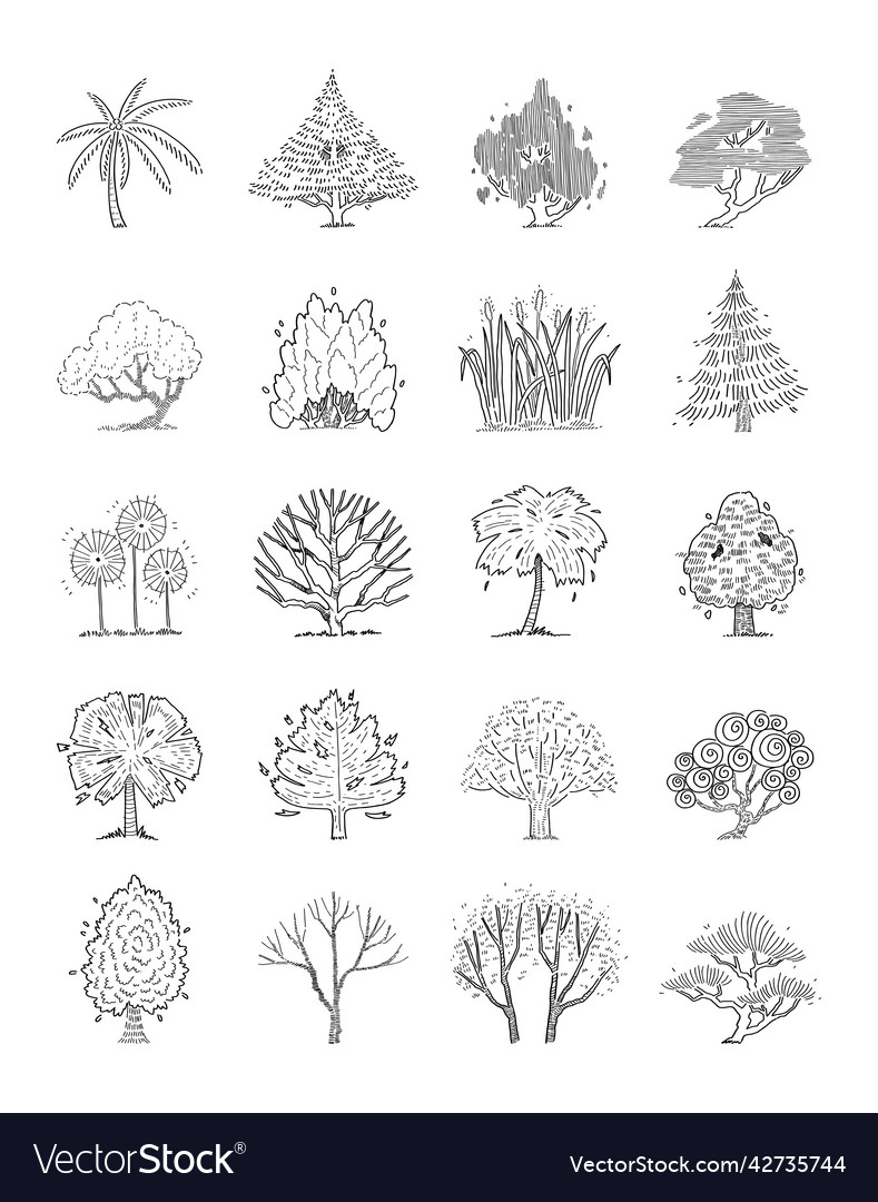 Side View Tree Collection