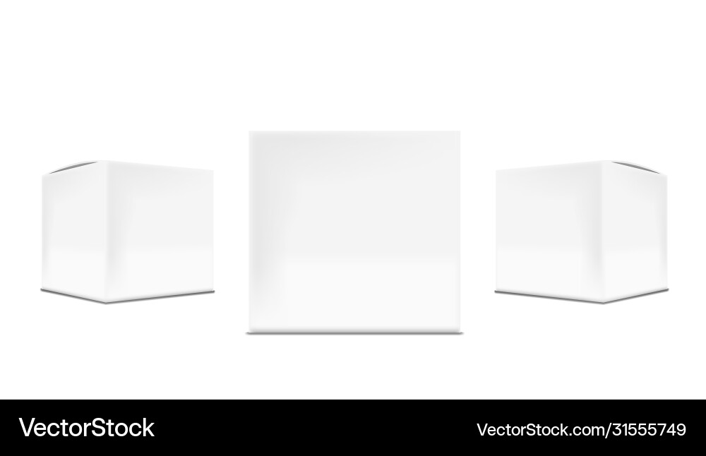 3d white cardboard packaging box for branding Vector Image