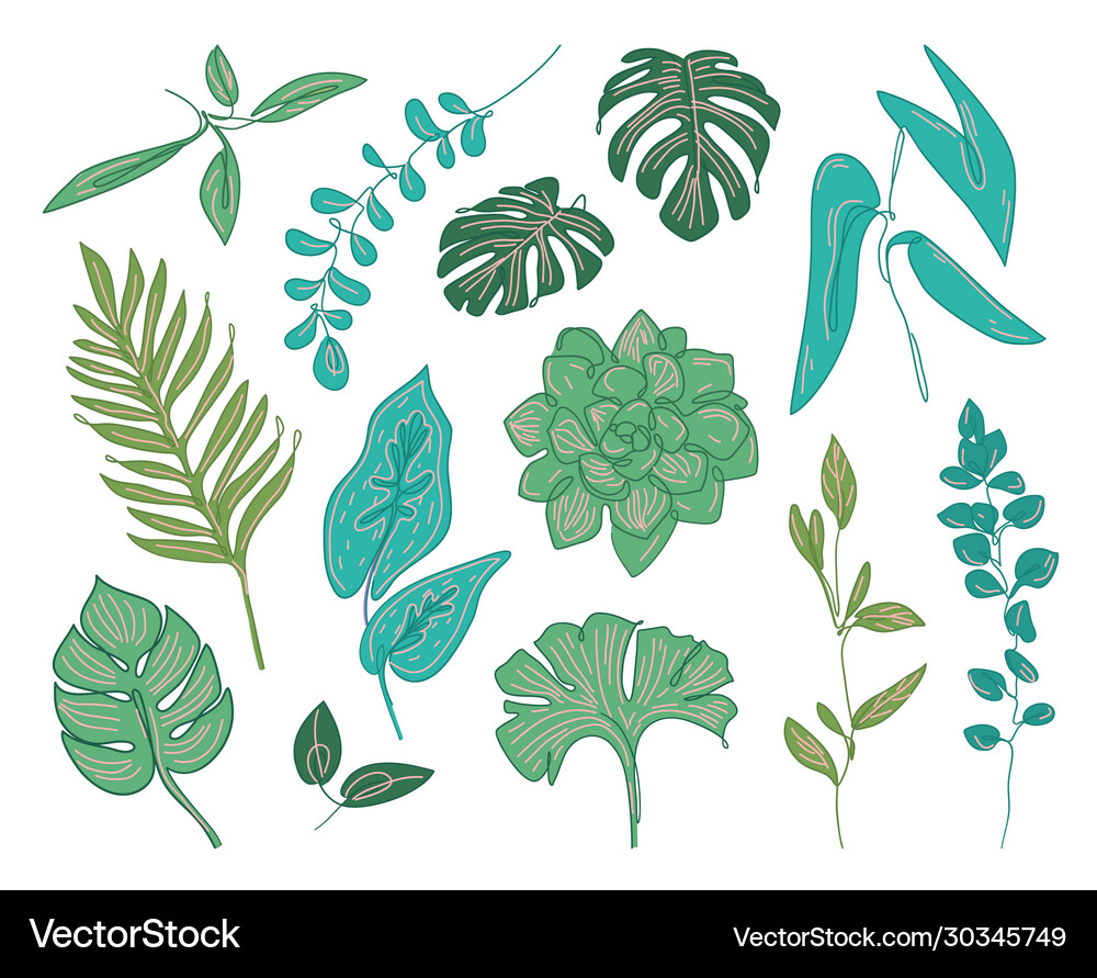 Set tropical leaves hand drawn elements Royalty Free Vector
