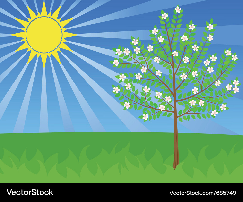 Spring flowers Royalty Free Vector Image - VectorStock