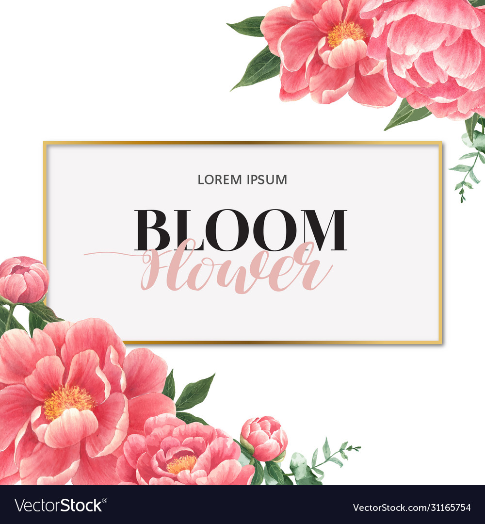 Peony flowers watercolor frame beautiful decor Vector Image