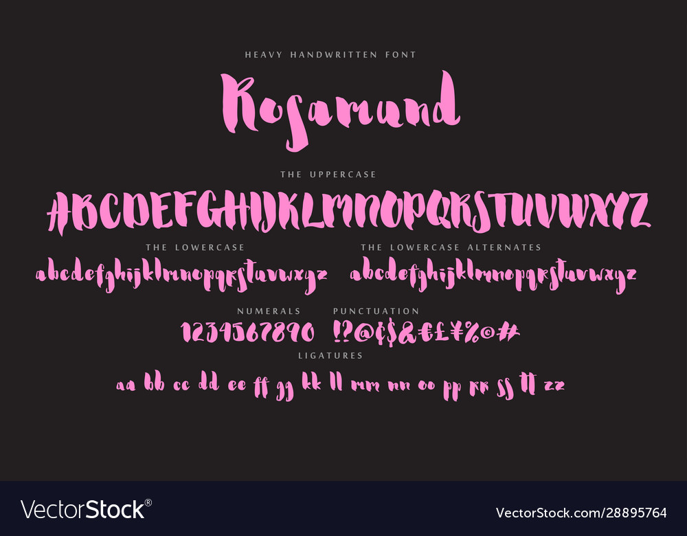 Handwritten script font alphabet rosamund vector image Handwritten script font alphabet rosamund