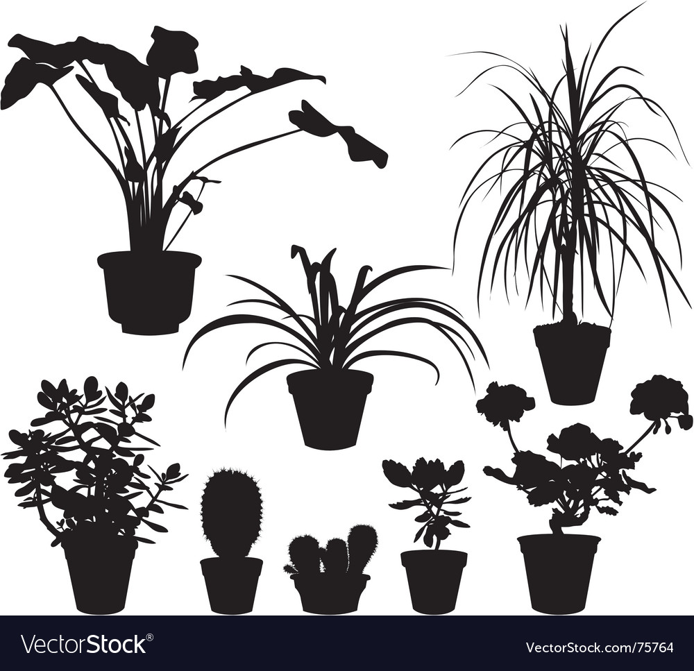 Download Home plants silhouettes Royalty Free Vector Image