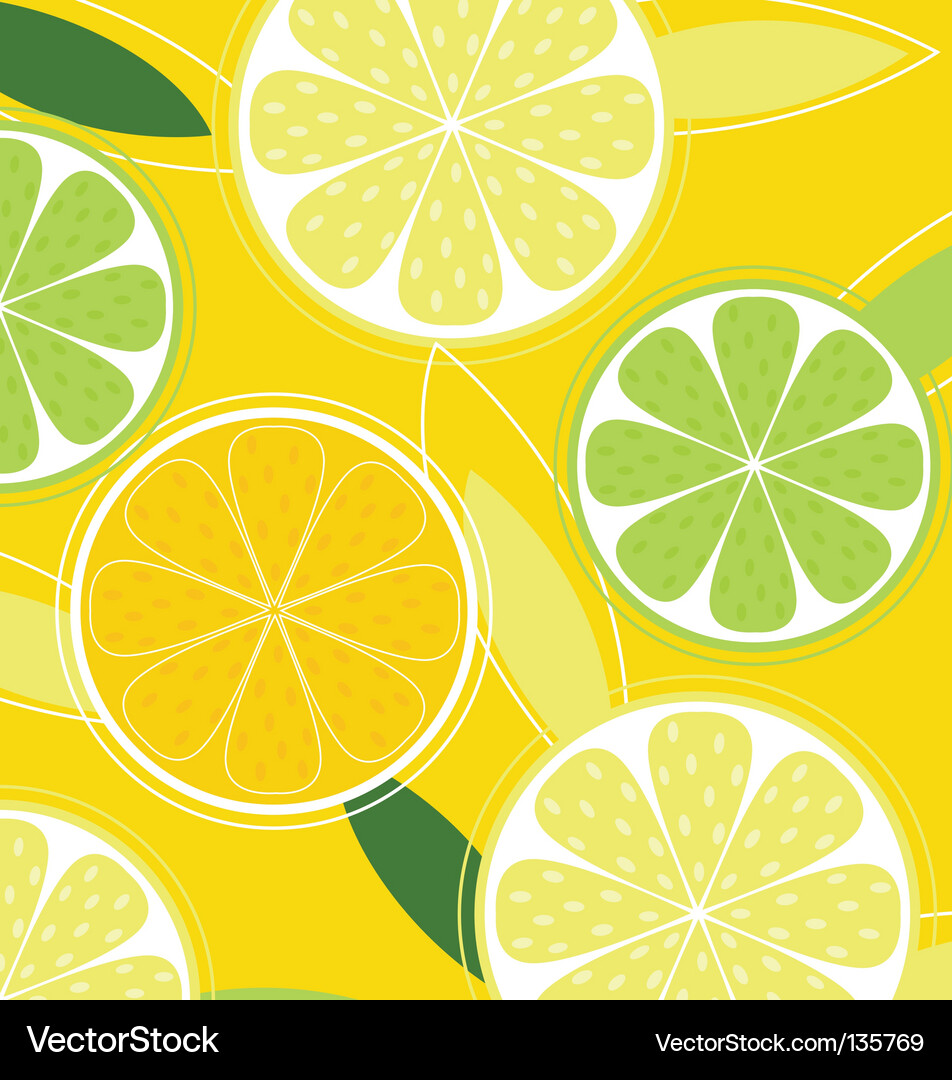 Citrus background Royalty Free Vector Image - VectorStock
