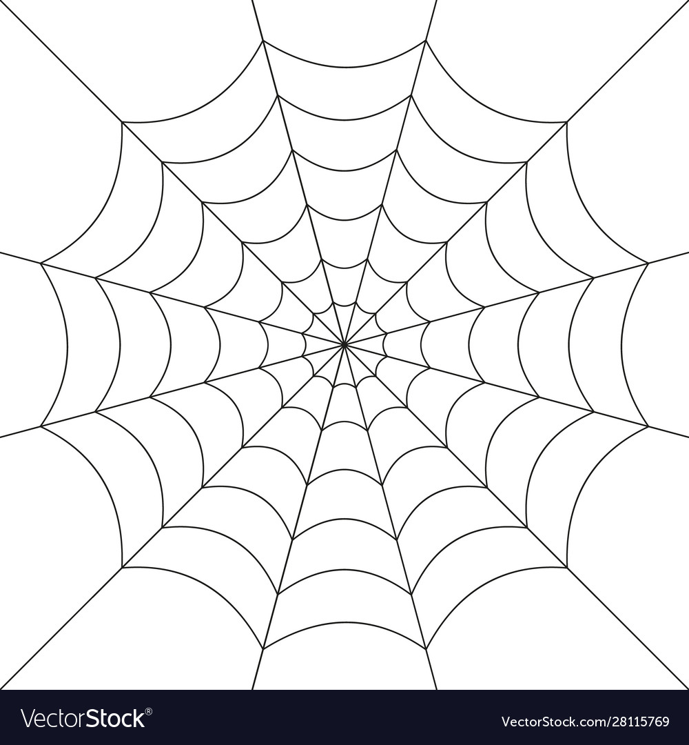 Spooky Spiderweb Pattern