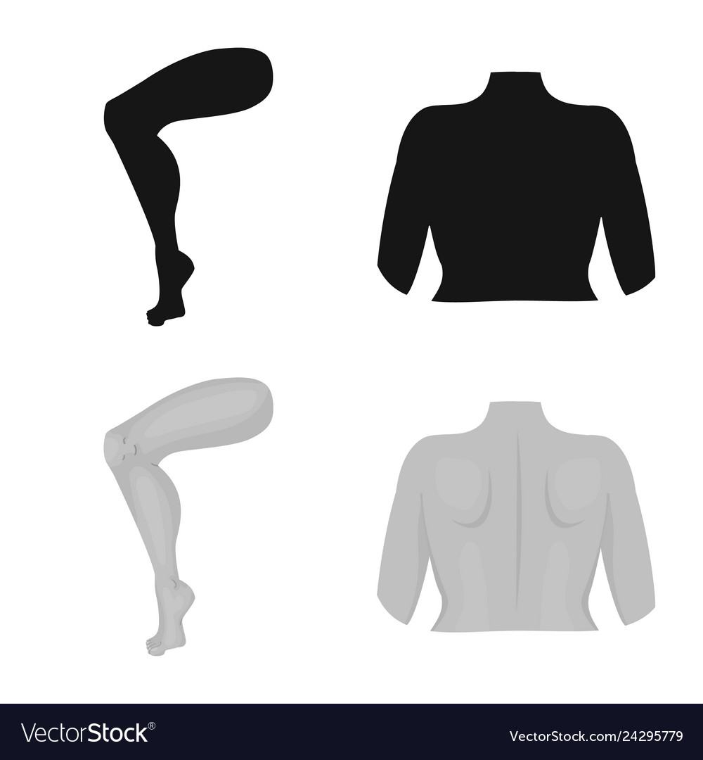 Isolated object of body and part symbol
