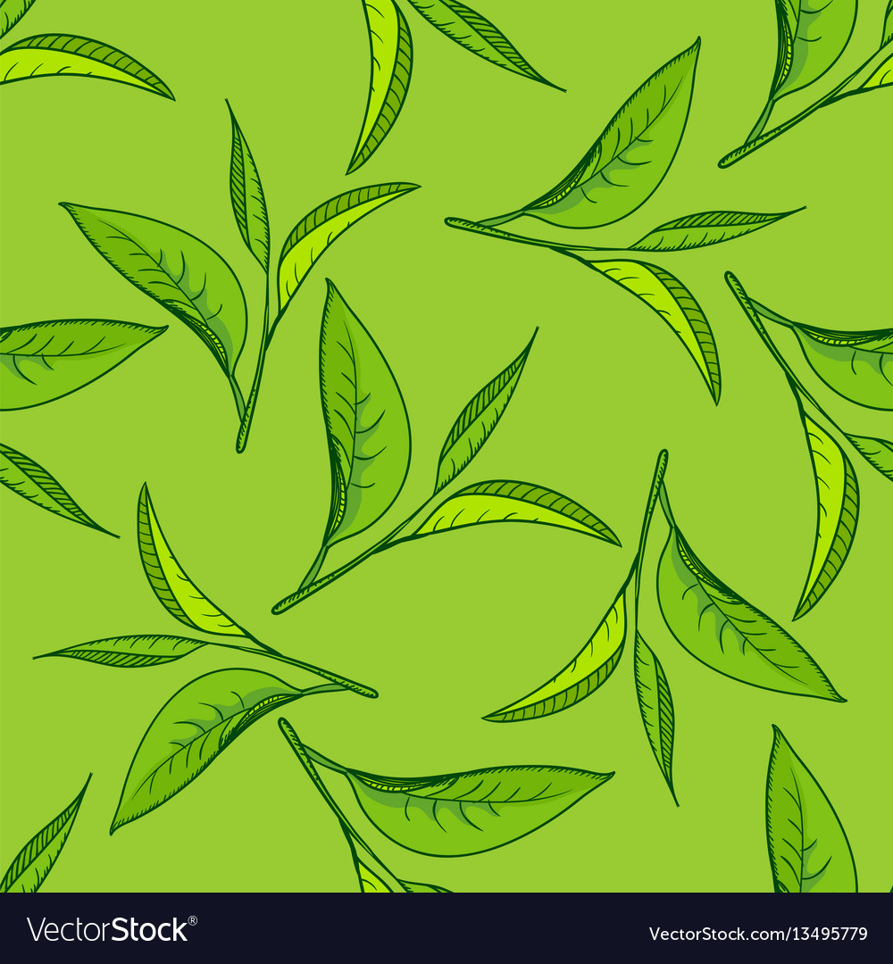 Seamless Tea Leaves Pattern Royalty Free Vector Image