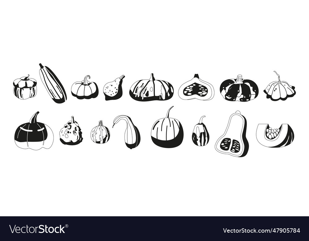 Diverse schwarze und weiße Kürbisse