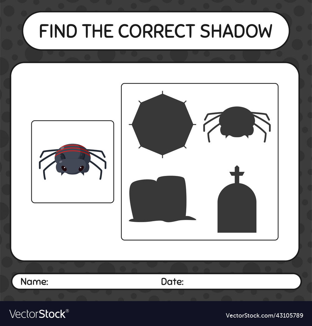 Find the correct shadows game with spider Vector Image Find the correct shadows game with spider