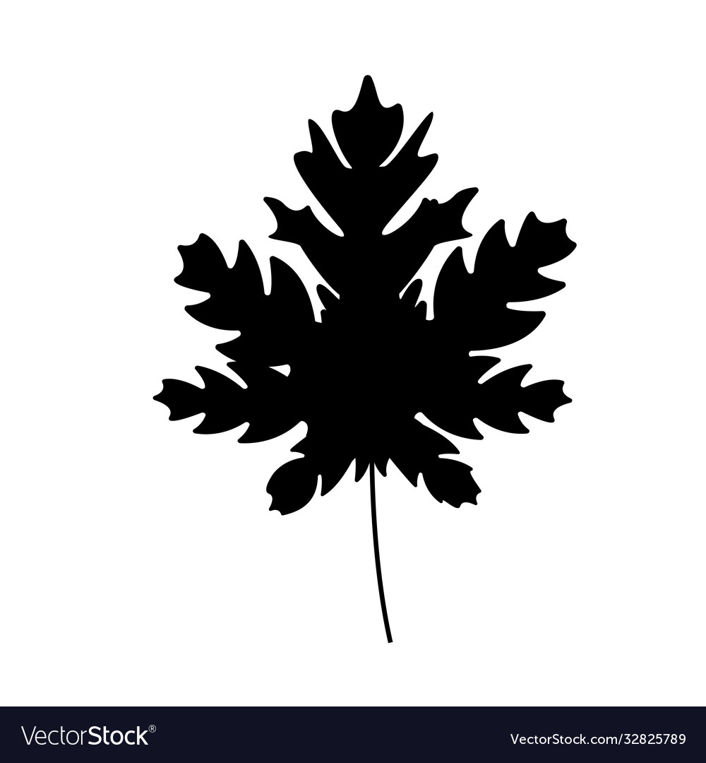 Papaya black silhouette palm leaf icon