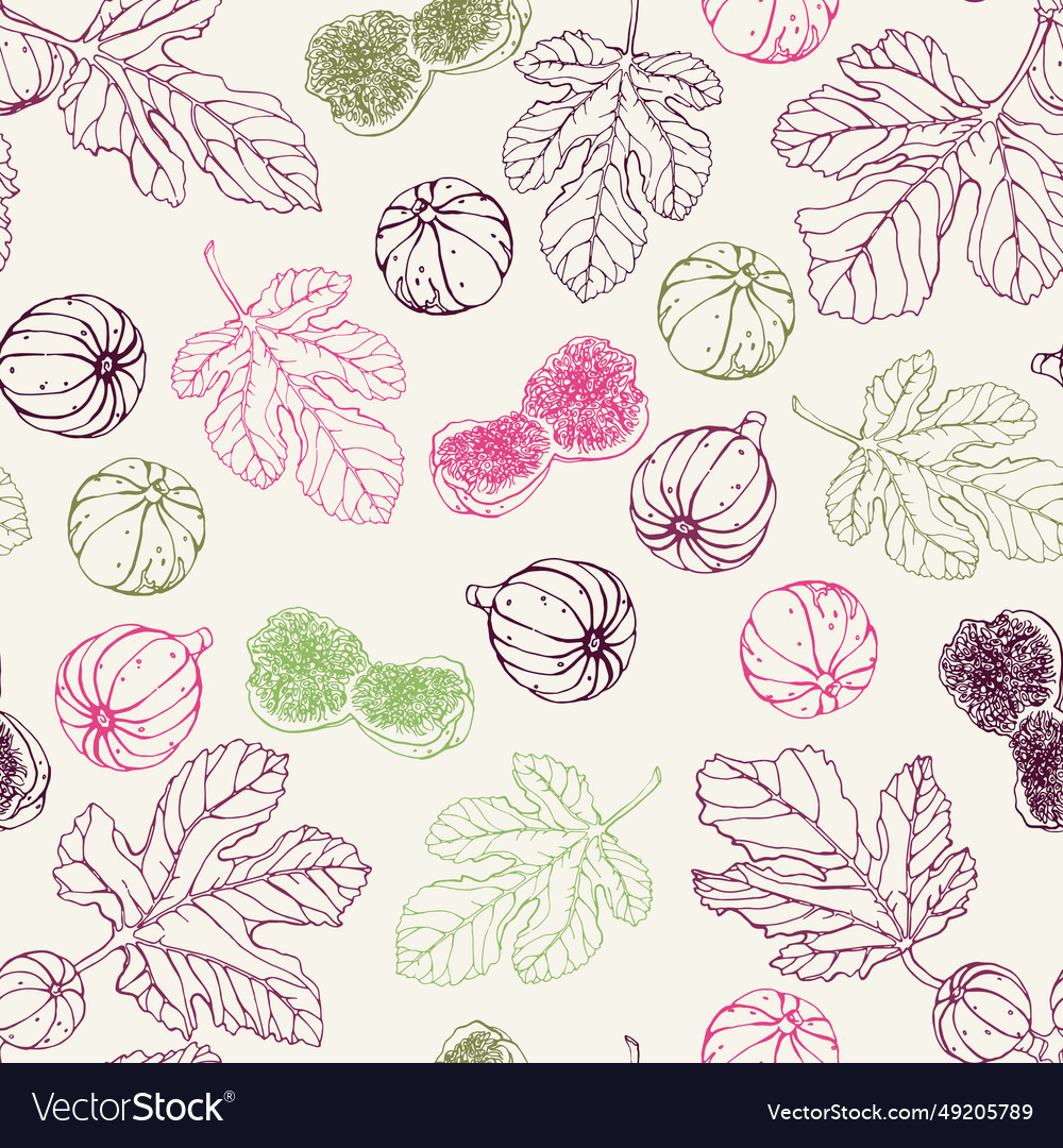 Seamless pattern with figs vector image Seamless pattern with figs