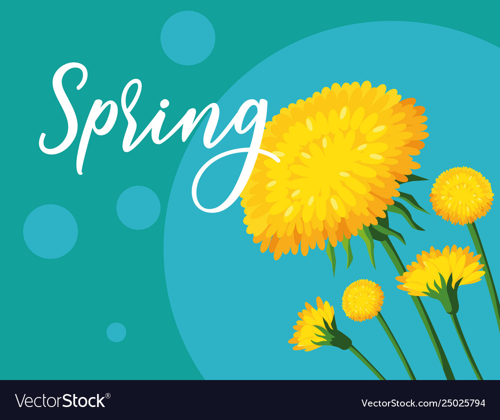 Beautiful spring flowers card Royalty Free Vector Image