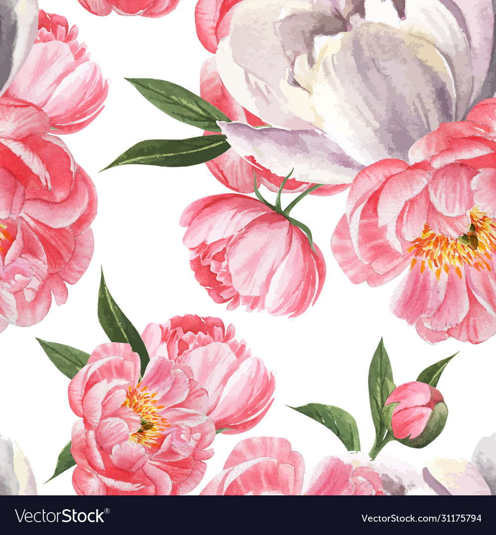 Peony flowers watercolo pattern seamless floral Vector Image