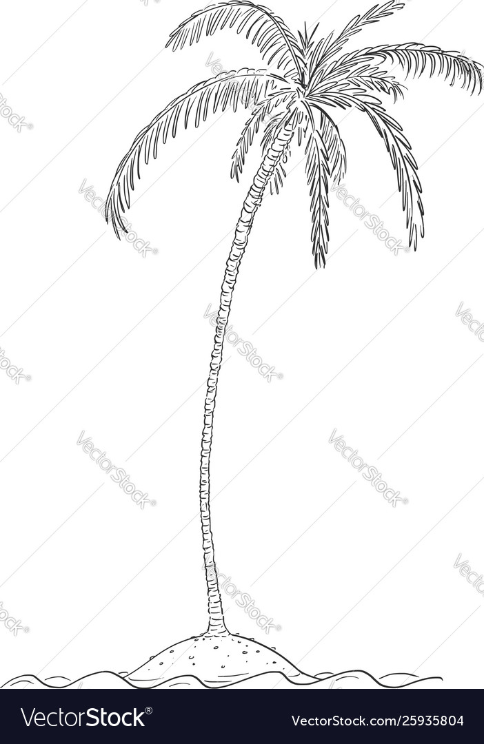 Cartoon drawing palm tree on small island