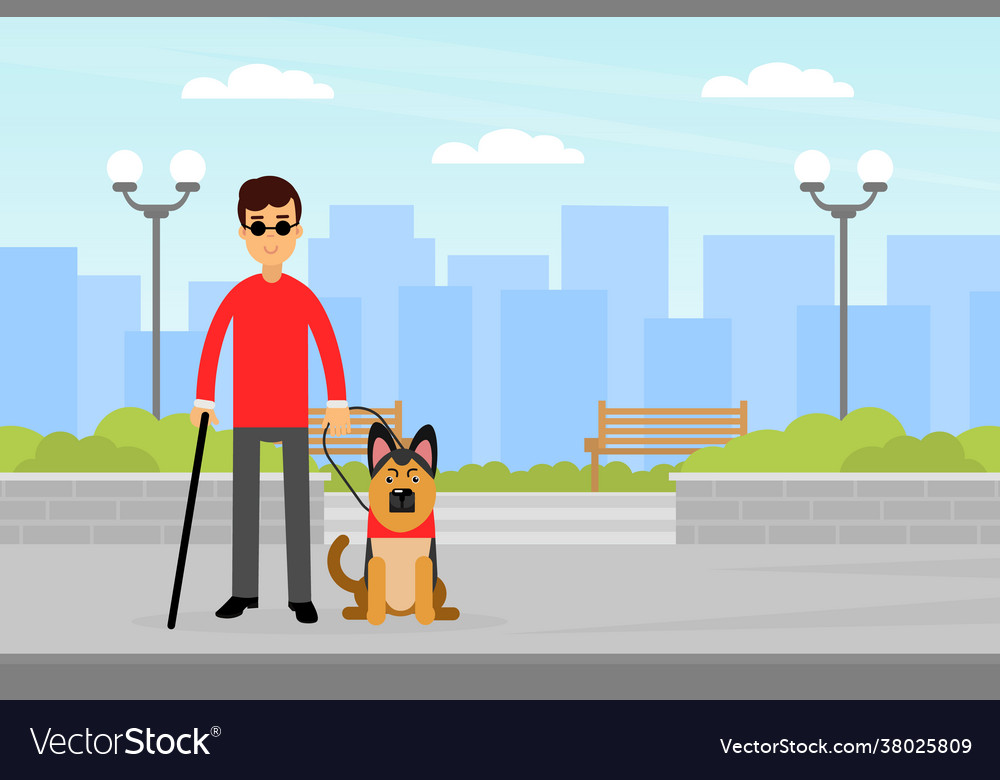 Blind man holding leash leading dog walking