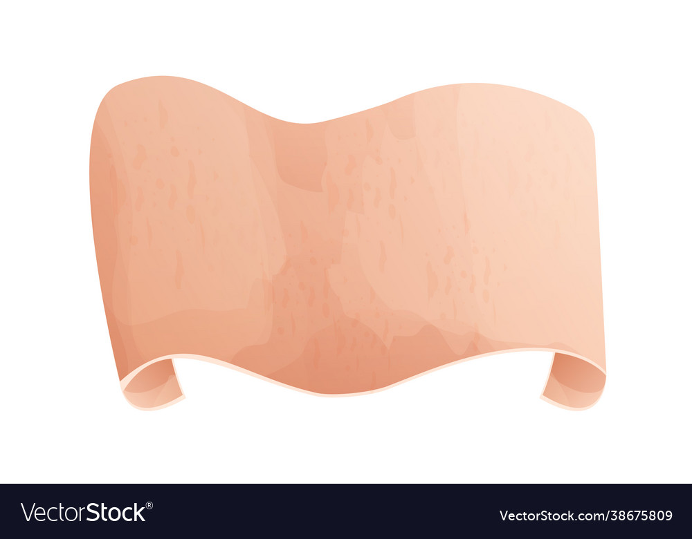 Parchment paper scroll papyrus empty frame Vector Image Parchment paper scroll papyrus empty frame