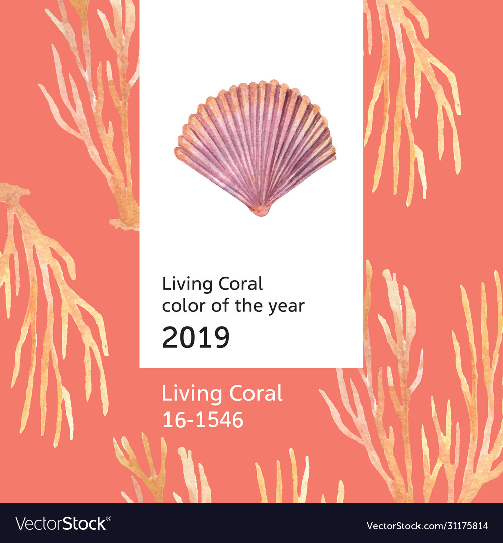 Color coral 2019 trendy sea shell marine life