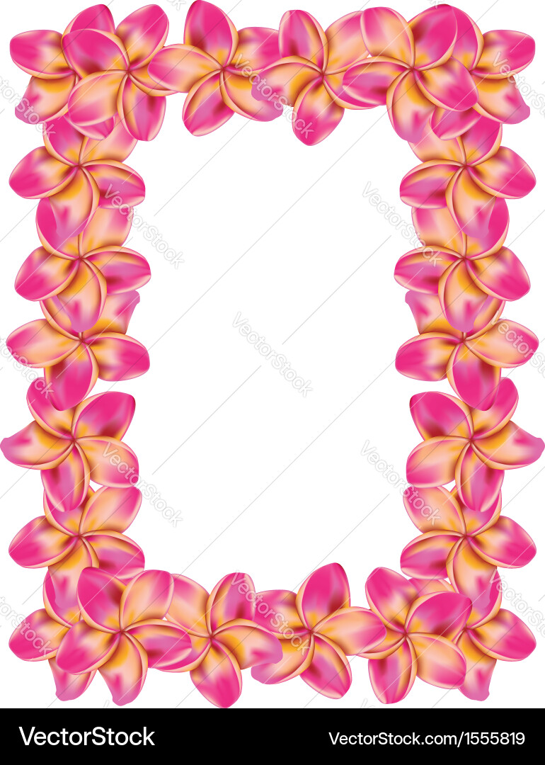 Frangipani frame2 Royalty Free Vector Image - VectorStock