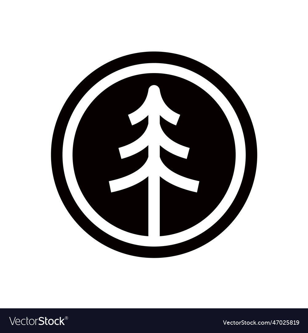 Pine spruce evergreen larch conifer coniferous fir