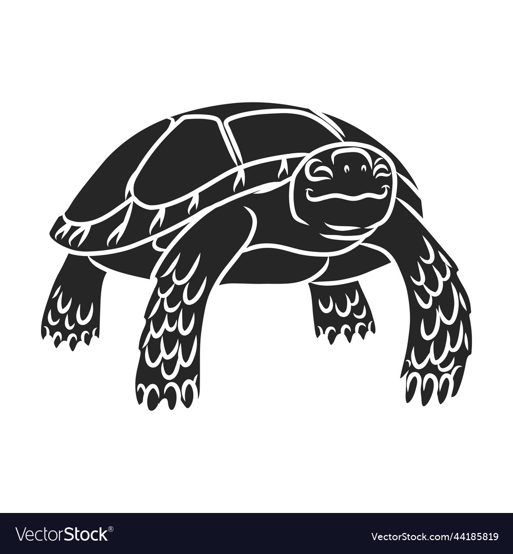 Turtle iconblack logo isolated on white