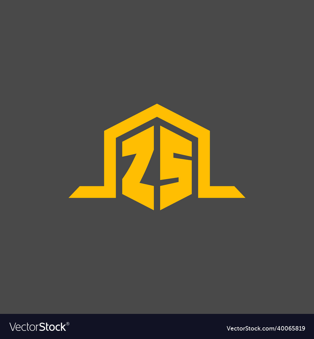 Zs monogram initial logo with hexagon style design