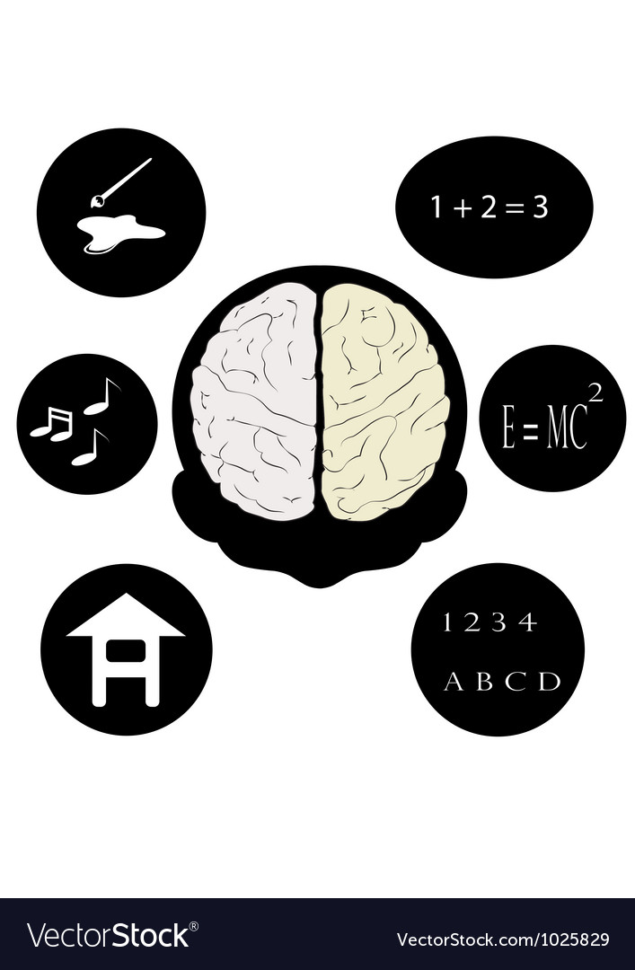 Man and brain