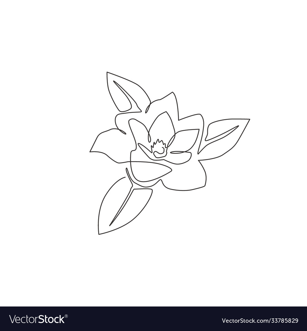 Single Continuous Line Drawing Beauty Fresh Vector Image