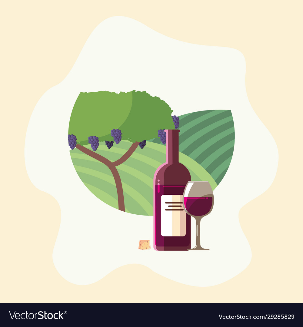 Wine bottle and cup in front grapes tree Vector Image