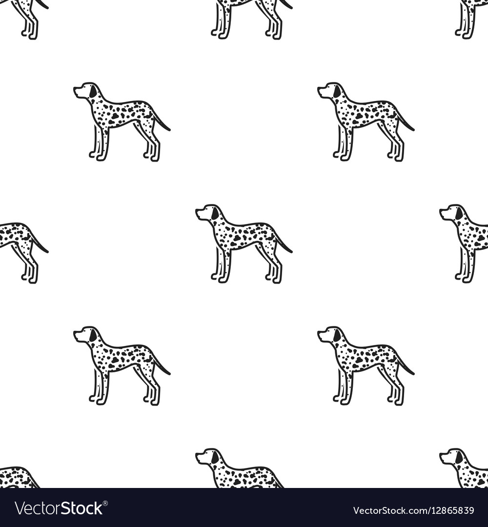 Dalmatian icon in black style for web