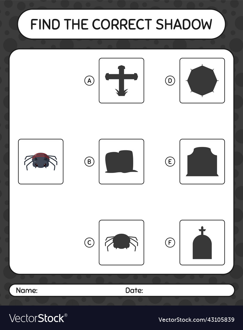 Find the correct shadows game with spider Vector Image Find the correct shadows game with spider