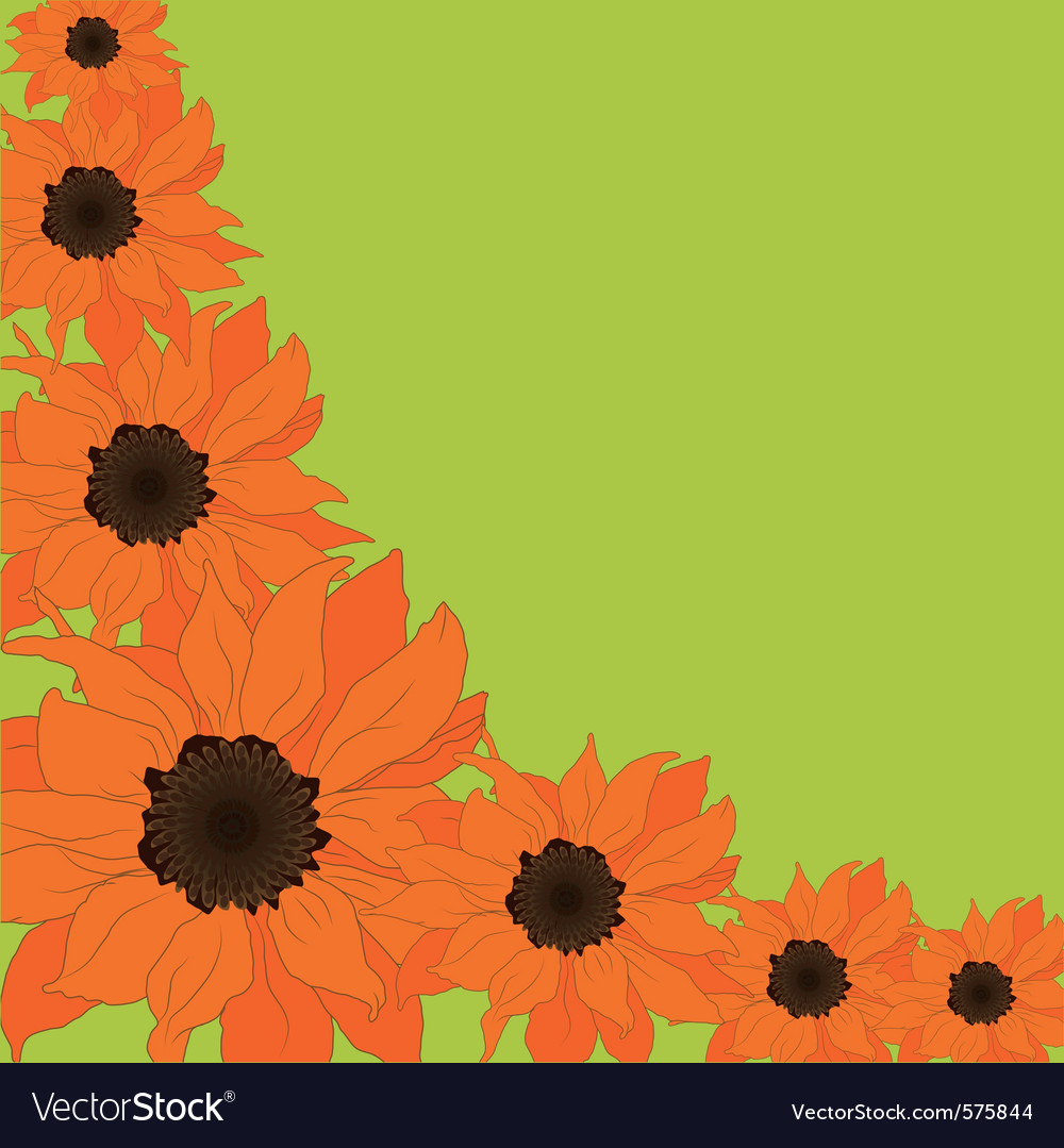 Sunflower background